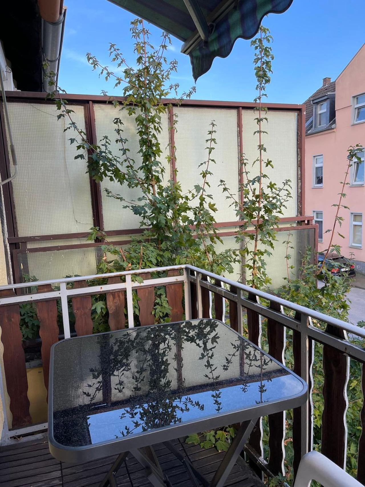 Duesseldorf Messe And Airport, 2-Bedroom Apartment With Kitchen And Garden Дуйсбург Екстериор снимка